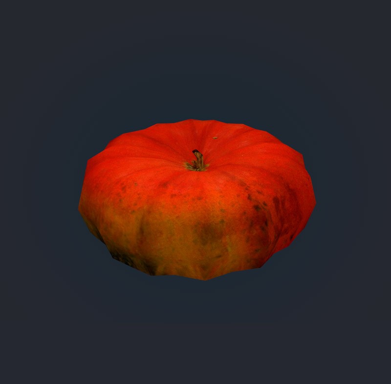Photorealistic Pumpkin preview image 1